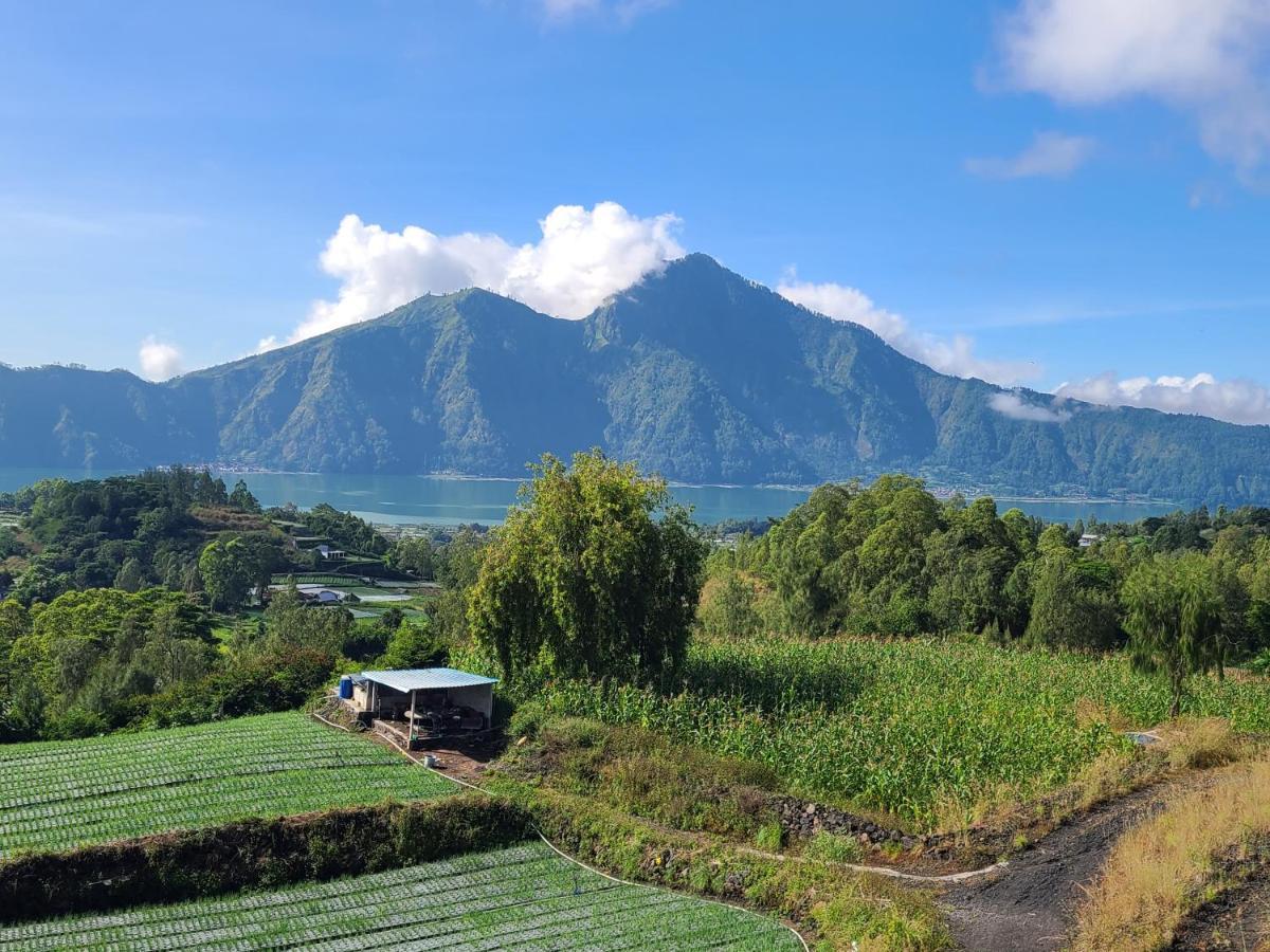 Batur Lake View Kintamani  Bagian luar foto
