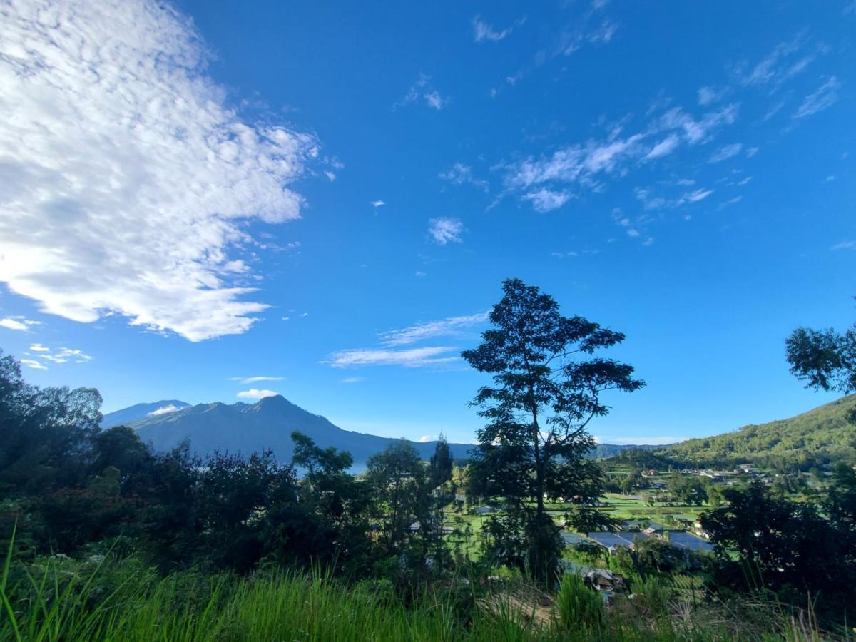 Batur Lake View Kintamani  Bagian luar foto