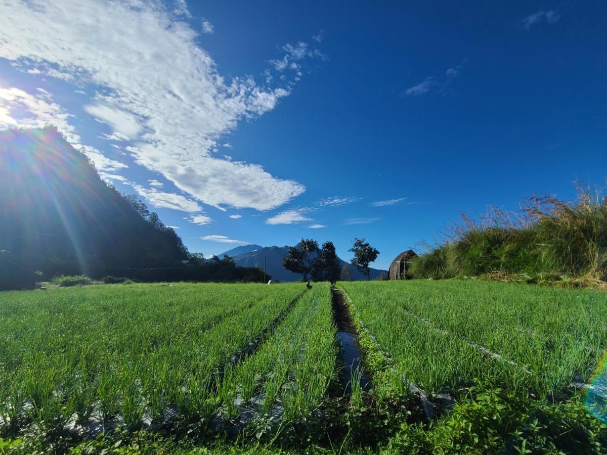 Batur Lake View Kintamani  Bagian luar foto